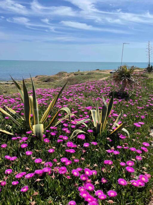 Ferienwohnung Miramar V Torrevieja Esterno foto