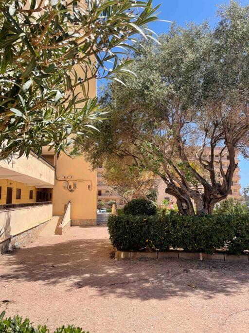 Ferienwohnung Miramar V Torrevieja Esterno foto